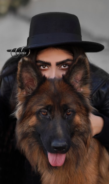 Training Your Service Dog